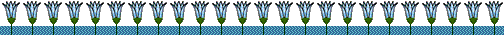 ln_lotus3.gif